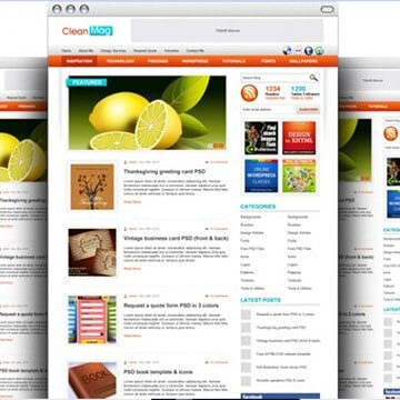 WordPress Website and Blog Development